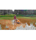 Electric SRI Paddy Weeder – Single Row
